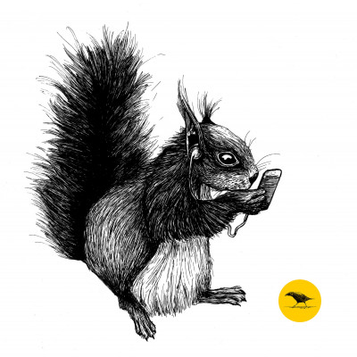 Schwarzweisse Tintezeichnung eines Eichhörnchens