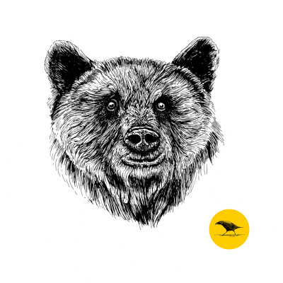Schwarzweisse Tintezeichnung eines Bären