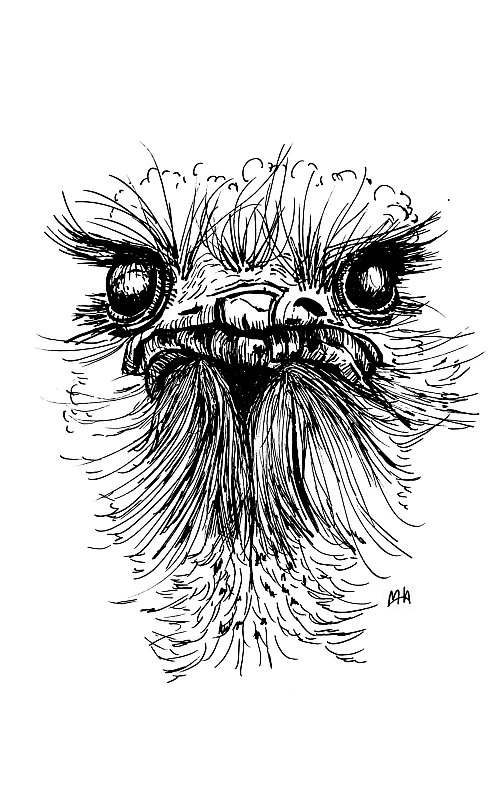 Schwarze Zeichnung eines Straussen