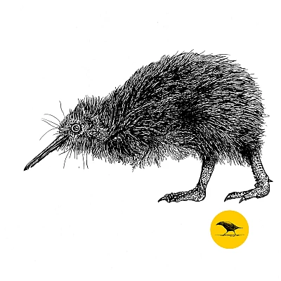 Schwarzweisse Tintezeichnung eines Vogels