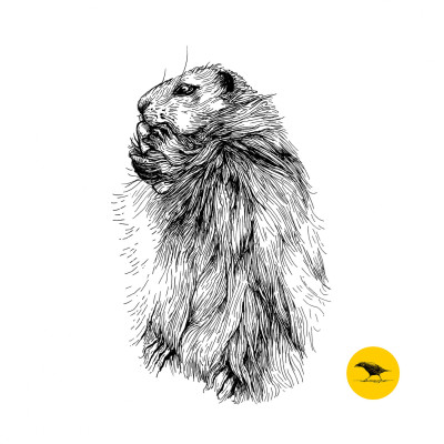 Schwarzweisse Tintezeichnung eines Hamsters