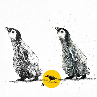 Zwei Illustrationen einen Pinguins, rechts farbig