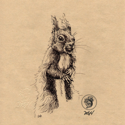 Schwarze Zeichnung eines Eichhörnchens.