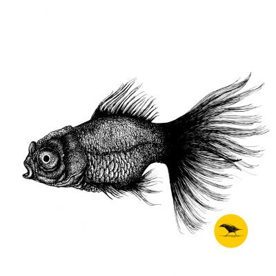 Schwarzweisse Tintezeichnung eines Fisches