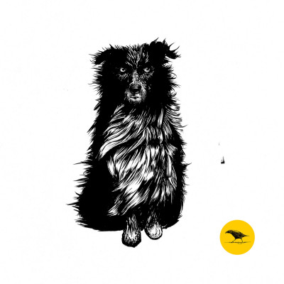 Schwarzweisse Tintezeichnung eines Hundes