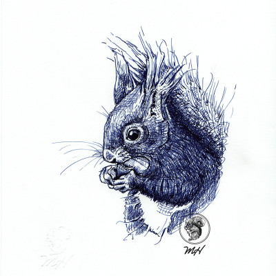 Blaue Zeichnung eines Eichhörnchens.