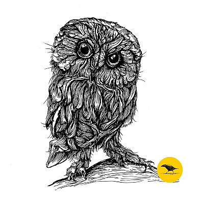Schwarzweisse Tintezeichnung einer Eule