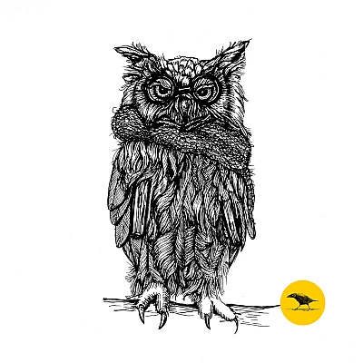 Schwarzweisse Tintezeichnung einer Eule
