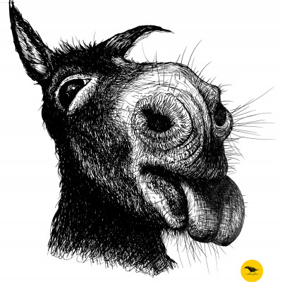 Schwarzweisse Tintezeichnung eines Esels