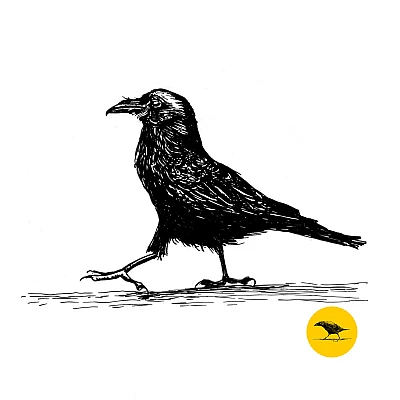 Schwarzweisse Tintezeichnung eines Vogels