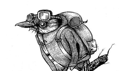 Zeichnung eines Vogels mit Rucksack und Brille