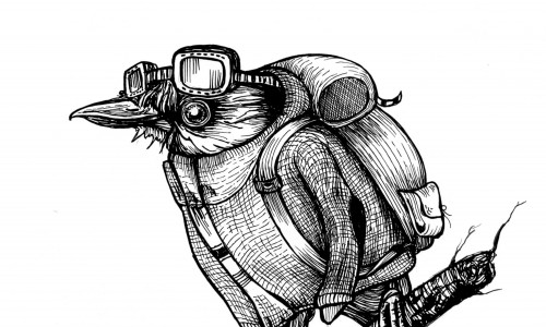 Zeichnung eines Vogels mit Rucksack und Brille