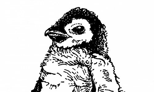 Schwarze Tintezeichnung eines kleinen Pinguins, der aufrecht sitzend nach links schaut