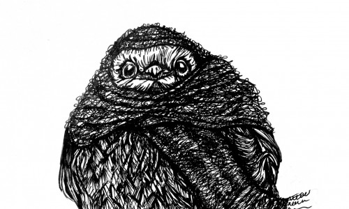 Tintezeichnung eines Vogels, der in ein dickes Tuch gehüllt, auf einem Ast sitzt.